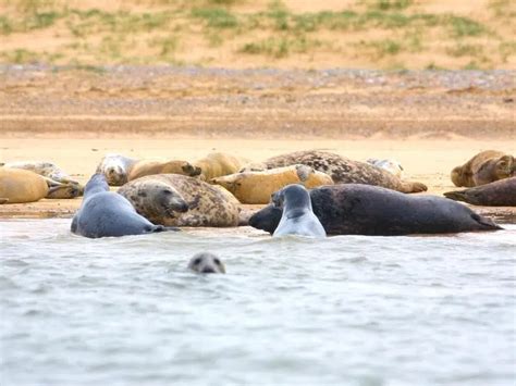 Best Norfolk Seaside Towns To Fall In Love With Written By A Local