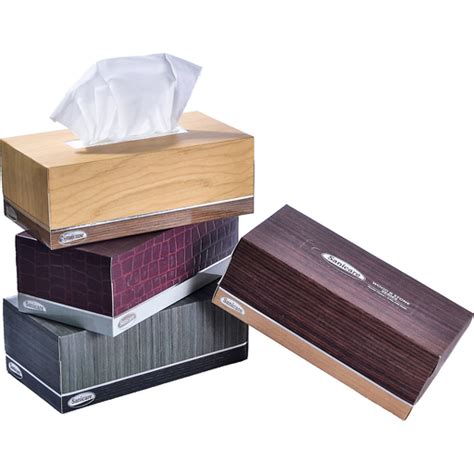 Sanicare Facial Tissue Econo Ply Pulls Facial Tissue Walter