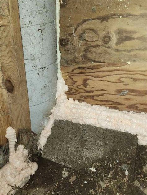 Rodent Exclusion And Proofing Services For Attics And Crawl Space