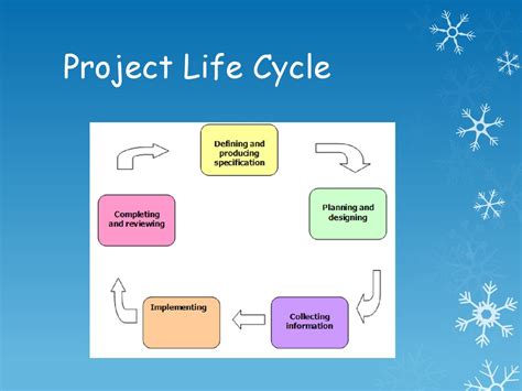 Project Life Cycle Chart