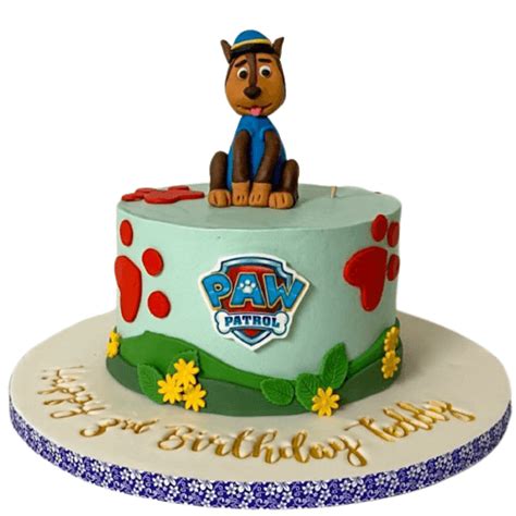 Fun Paw Patrol Cake - Eve's Cakes