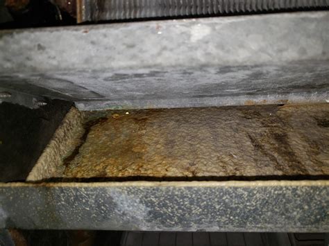 Is this mold in my in-house air conditioner? : r/MoldlyInteresting