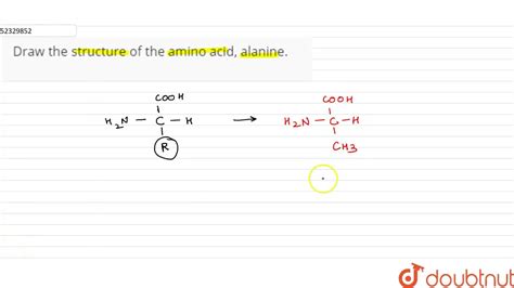 Alanine Amino Acid Structure