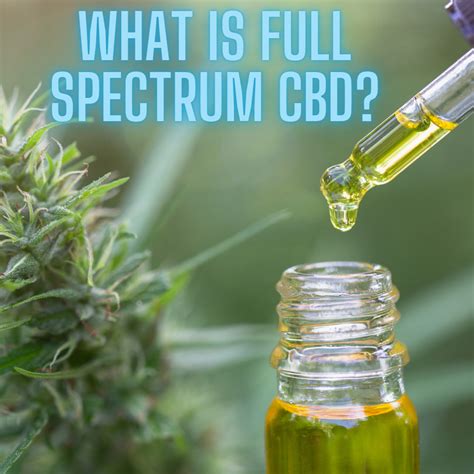 What Is Full Spectrum Cbd A Complete Guide