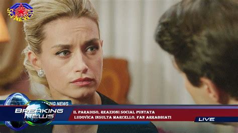 Il Paradiso Reazioni Social Puntata Ludovica Insulta Marcello Fan