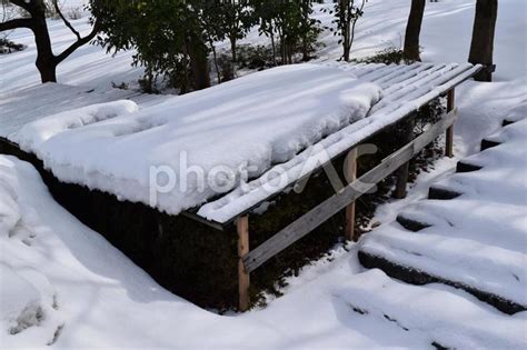 豪雪地帯の雪囲い 冬の風物詩 No 22127452｜写真素材なら「写真ac」無料（フリー）ダウンロードok