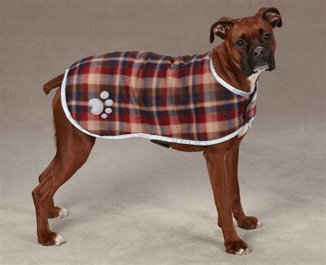 Reviews Of The Best Dog Coats For Labs And Other Large Breeds