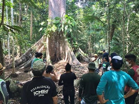 Parque Nacional do Jaú Aventuras e Mistérios pela Amazônia Turismo