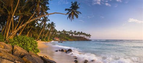 We Pick The Best Surfing Beaches In Sri Lanka