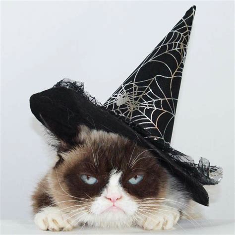 Grumpy Cat Halloween Meme