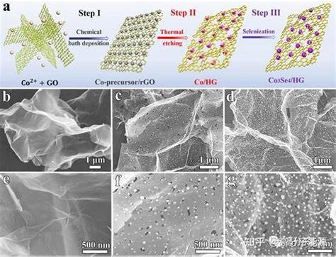 余家国张留洋am：石墨烯孔隙穿孔与co3se4原位生长用于高性能钠离子电池 知乎