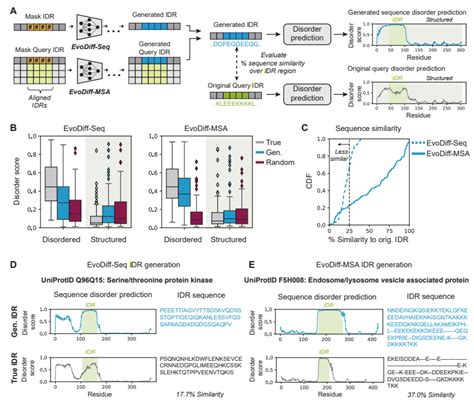 Utilizing Evolutionary Diffusion For Protein Generation Microsofts