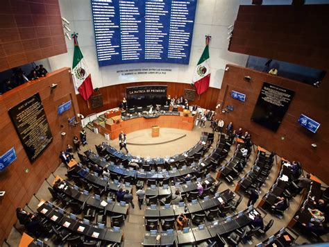 Pese a críticas, Morena perfila reelección de Piedra Ibarra en CNDH