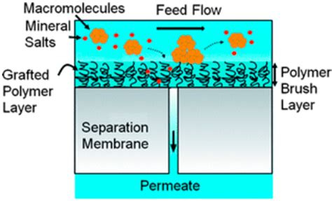 Membranes Free Full Text Important Approaches To Enhance Reverse