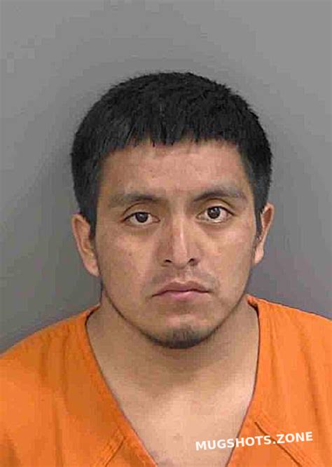 Martindomingo Fernando Collier County Mugshots Zone