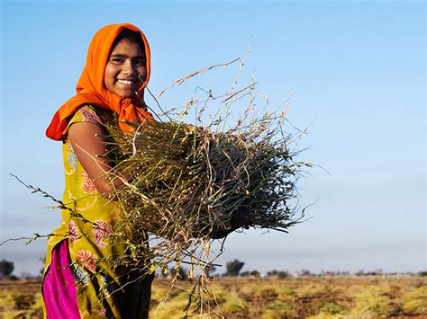 indian-farmer-girl – Banking School