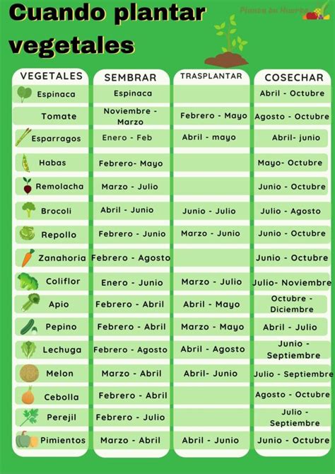 Cuándo Plantar Vegetales Una Guía Para Sembrar Y Cosechar Vegetales Huertos Aprende A