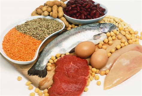 Продукты, содержащие белок: списки, таблица, меню диеты