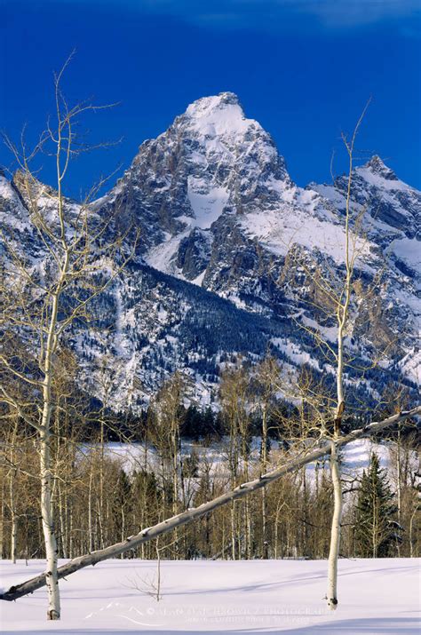 Grand Teton National Park Alan Majchrowicz