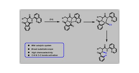 Palladium Catalyzed Decarbonylation Of Amino Acid Derivatives Via CC