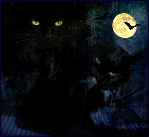 🔥 [60+] Halloween Cat Wallpapers | WallpaperSafari