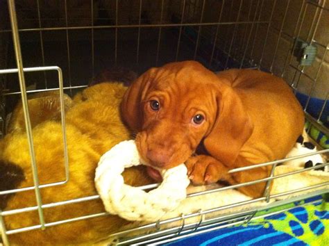 Best Kiska Images On Pholder Wwiipics Warship Porn And History Porn