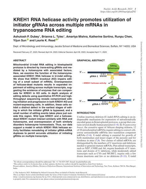 PDF KREH1 RNA Helicase Activity Promotes Utilization Of Initiator