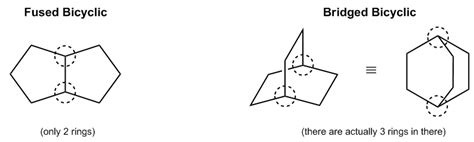 Naming Bicyclic Compounds Explained Definition Examples Practice