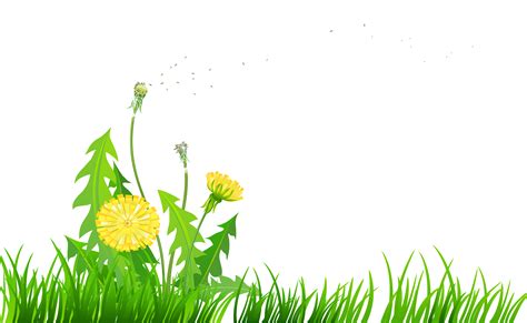 Dandelion Clipart Svg Dandelion Flowers Png Clip Art Digital Download