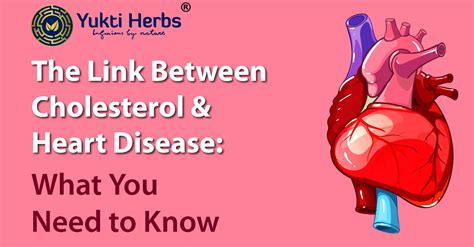 Cholesterol and Heart Disease: What You Need to Know