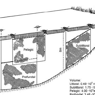 Pdf Eutrophication Causes Consequences And Control Volume