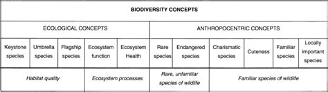 Conceptual Framework Used In The Experimental Design Download Scientific Diagram