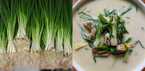 Daun Bawang Dan Kucai Serta Lokio, Mirip Tapi Ini Bezanya!