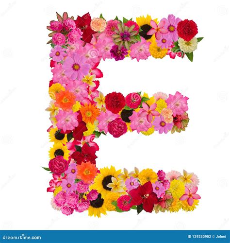 Letter E Alphabet With Flower Abc Concept Type As Logo Isolated Stock