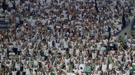 Palmeiras emite nota contra o pedido de torcida única em partida contra