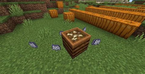 Những điều thú vị bạn có thể làm với Bí Ngô trong Minecraft