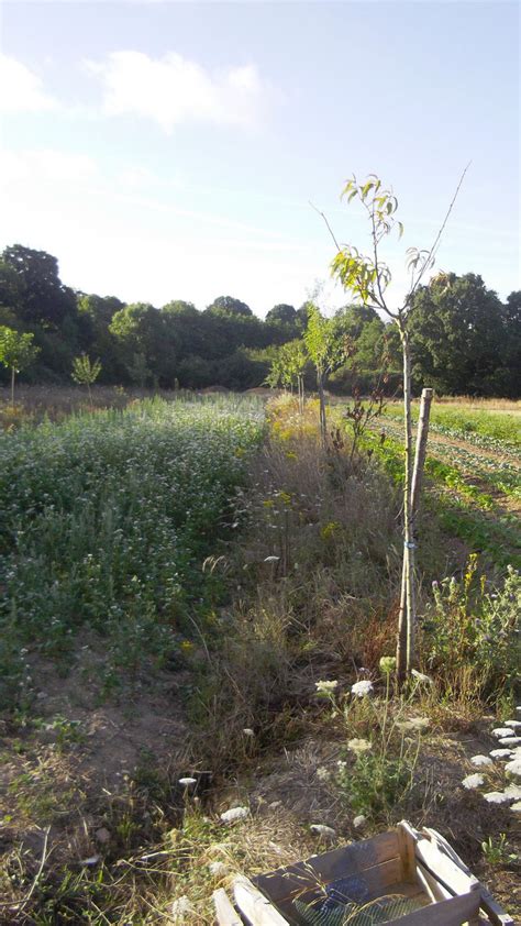 Atelier D Initiation L Agroforesterie Samedi Juin Permabocage