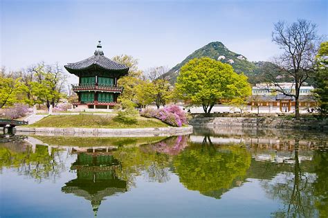 Hd Wallpaper Seoul South Korea Gyeongbokgung Palace Travel Traditional Wallpaper Flare