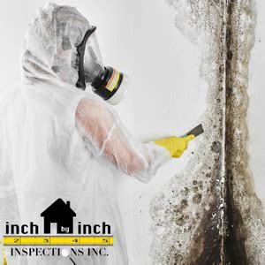 Prevent Mold Growth Needing Mold Removal In Toronto Inch By Inch