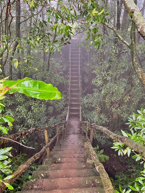 Best hiking trails in São Miguel island | To Azores Islands