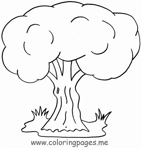 Arboles Para Colorear