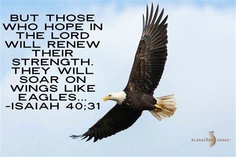 Bible Verse On The Wings Of Eagles Eternal Bible