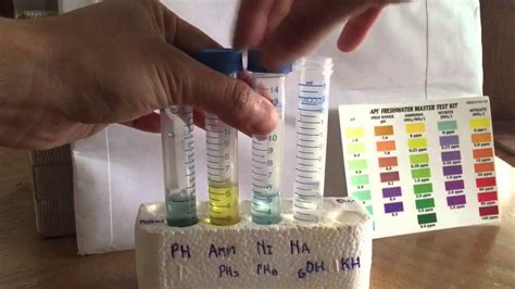 Aquarium Water Test Tutorial With Api Master Test Kit Youtube