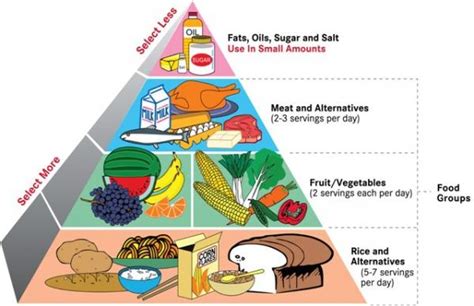 Blank Balanced Diet Plate For A Basketball