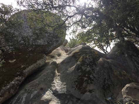 Hiking In The Bay Area Summit Rock Loop Trail Sanborn County Park