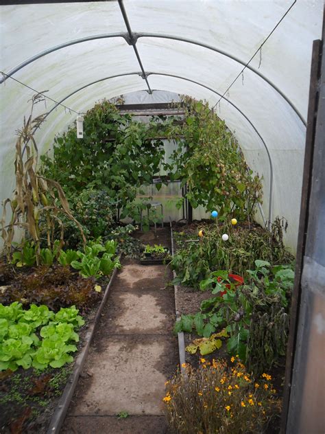 How To Build Your Own Polytunnel Garden Soil Growing Food