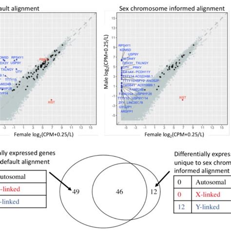 Sex Chromosome Complement Informed Alignment Calls More Sex Linked