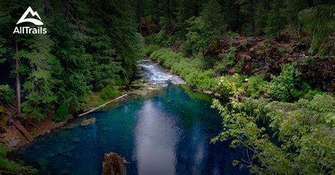 Best Trails in Willamette National Forest - Oregon | 4401 Photos & 1982 ...