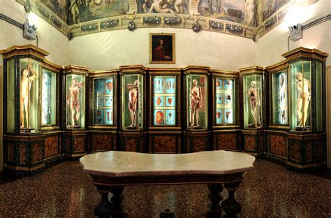 Musei Di Palazzo Poggi Bologna Welcome