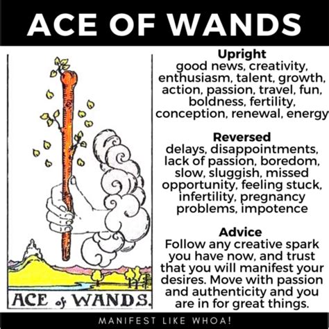 The Ace Of Wands Tarot Card Guide For Beginners Manifest Like Whoa